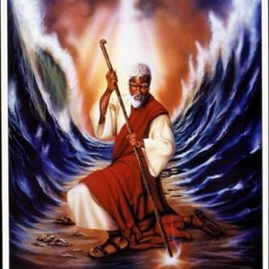 Meet your Posher, Samuel